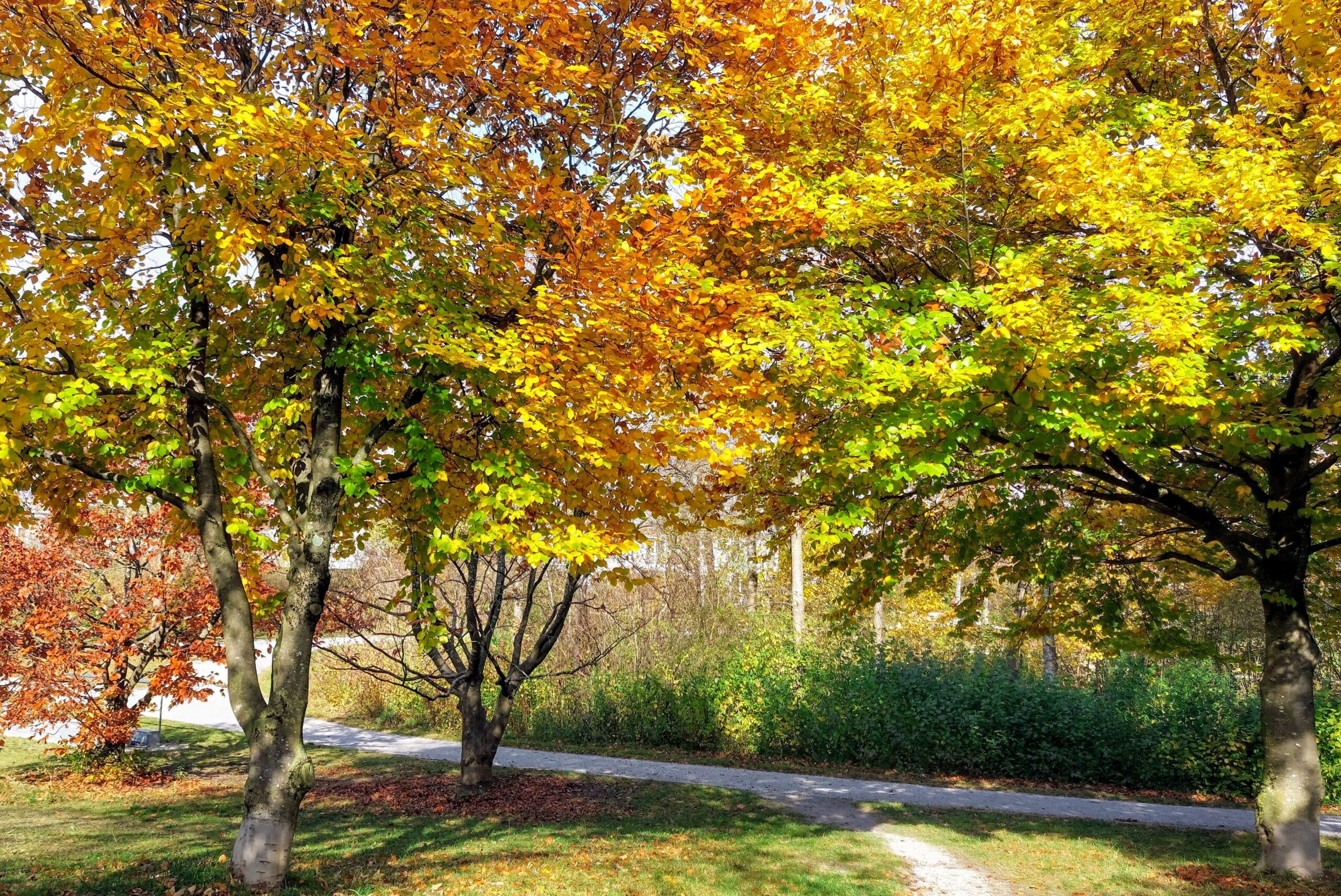 Herbstliches Halloween
