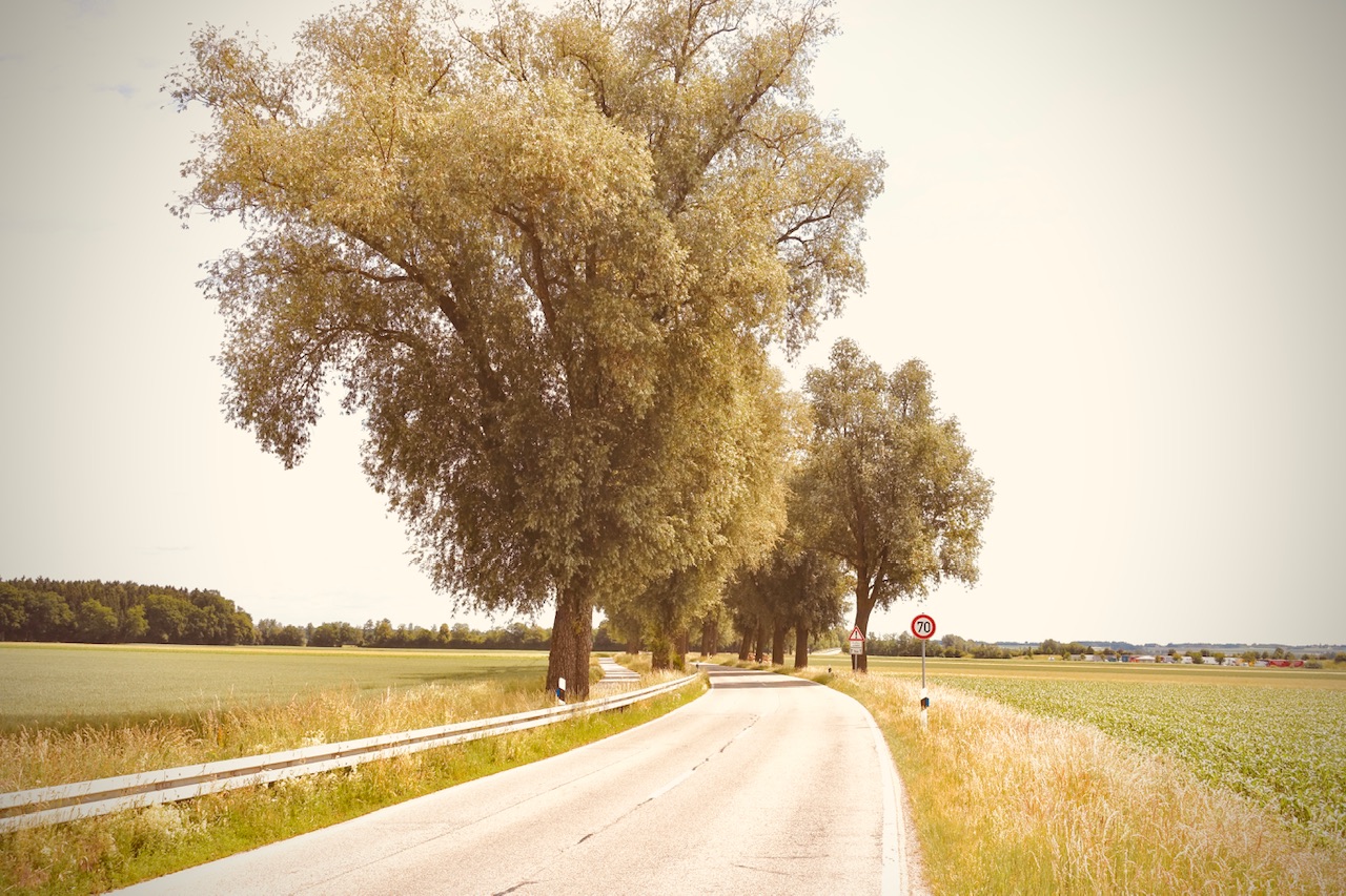 Landschaft auf „alt“